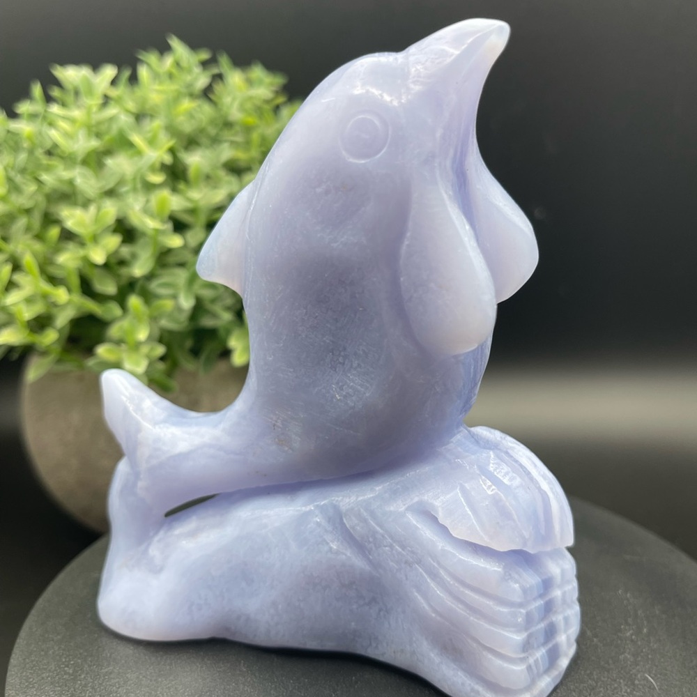 Blue Lace Agate Carved Dolphin Gemstone Animal Carving 4" 254G